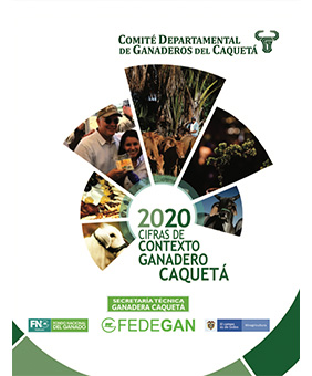 Miniatura de Cifras Contexto Ganadero Caquetá 2020