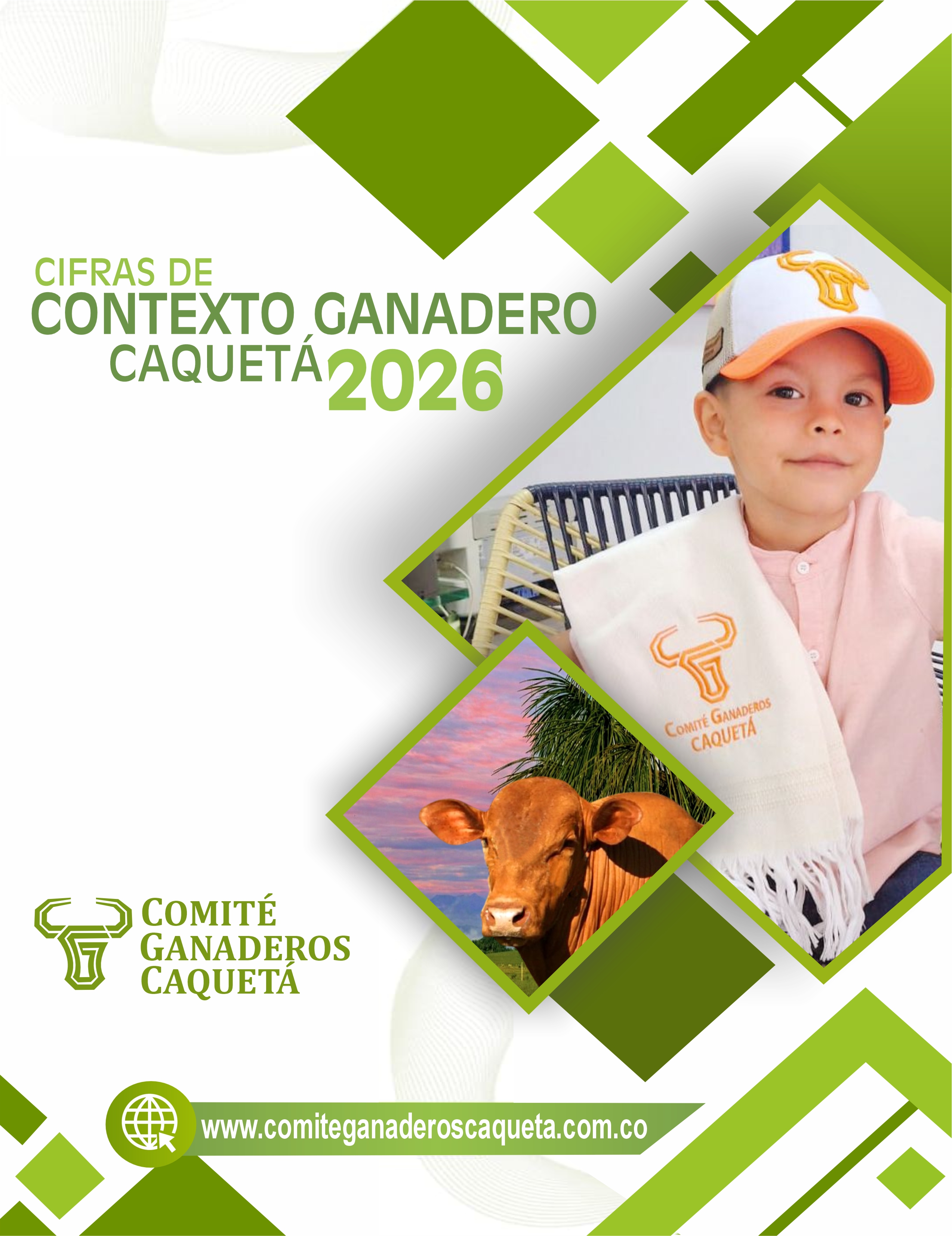 Miniatura de Cifras de Contexto Ganadero Caquetá 2026